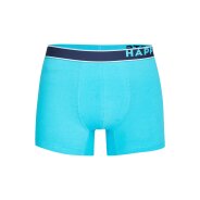Herren 2-Pack Boxershorts Palms - mehrfarbig