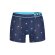 Herren 2-Pack Boxershorts Palms - mehrfarbig