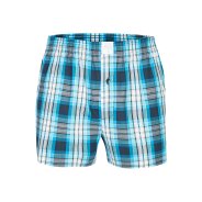 Herren Boxershorts Classics - mehrfarbig2