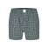 Herren Boxershorts Classics - mehrfarbig2