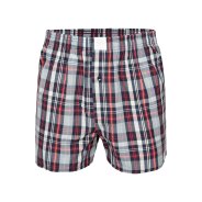 Herren Boxershorts Classic Checks - mix 2