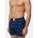 Herren 4-Pack Boxershorts Core - Set 2