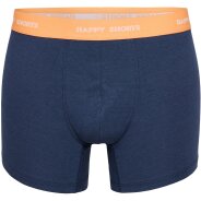 Herren 3-Pack Retro Boxershorts Trunks - Hawaii