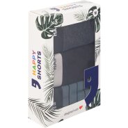 Herren 3-Pack Retro Boxershorts Trunks - Stripes