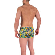 Herren Retro Pants RED2365 Minipants - ananas