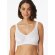 Damen 4-Pack Bustier 95/5 Organic Cotton Padded - weiss