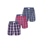 Luca David Herren Boxer Olden Glory