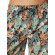 Herren Badeshorts Ocean Swim - multicolor
