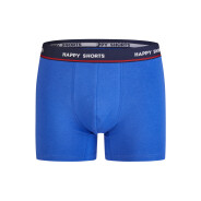 Herren 3-Pack Retro Boxershorts Jersey - palm-stripe