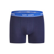 Herren 3-Pack Retro Boxershorts Jersey - palm-stripe