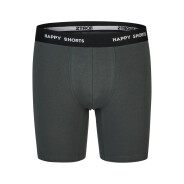 Herren 2-Pack Langer Boxershorts Jersey Boxershorts Briefs - palm leaves 2
