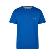 Herren 2-Pack Pyjama Shorty - blau-weiß