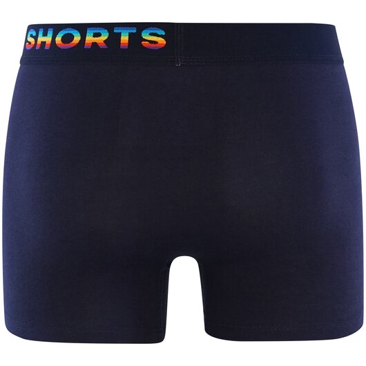 2-Pack Trunks Rainbow Hearts Gre L