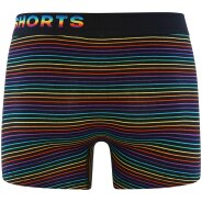 Herren Retro Pants Rainbow Stripes - Rainbow Stripes
