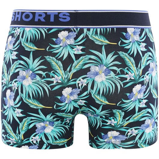 2-Pack Trunks Hawaii  Flowers Gre L