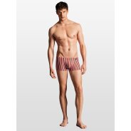 Herren Badeshorts BLU2156 Beachpants - stripes212